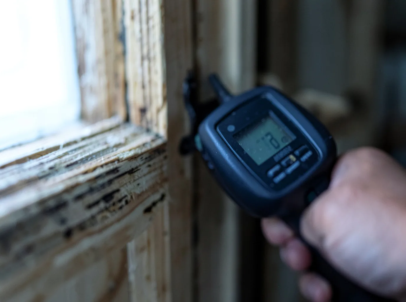 Moisture Inspection And Documentation in Mesilla Park, NM